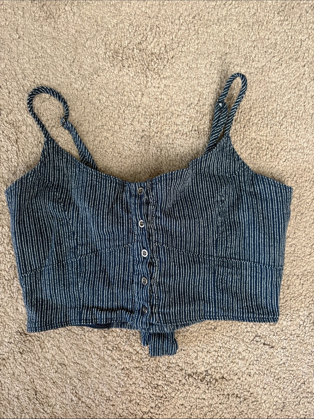 Amuse Society Blue and White Striped Button-Front Cropped Cami